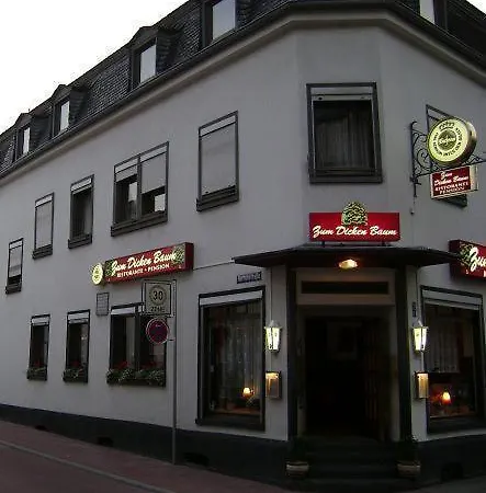 Guest house Zum Dicken Baum 2*