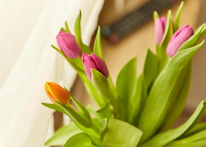 Gasthof Zum Dicken Baum 3*