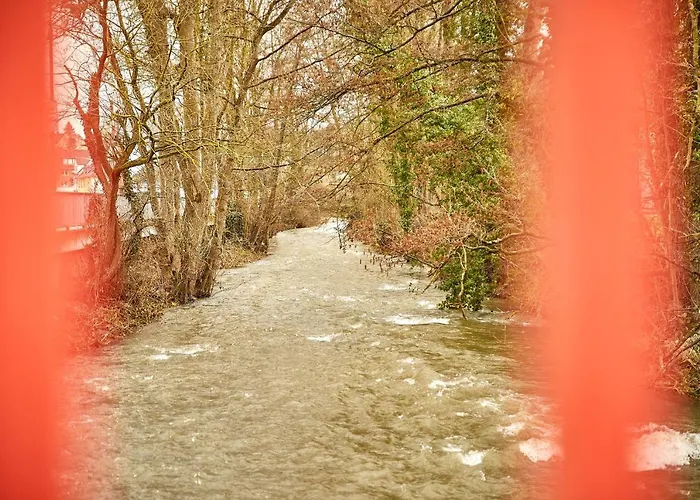 Zum Dicken Baum Gasthof Mayen