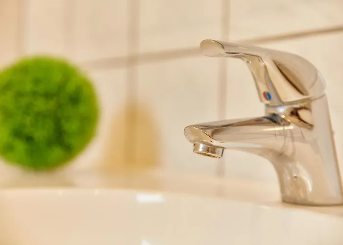 Zum Dicken Baum Gasthof